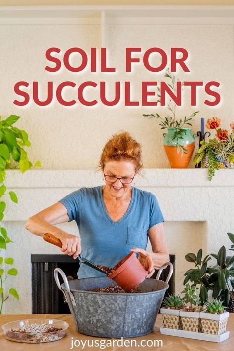 Best Soil For Succulents, Repotting Succulents, Soil Recipe, Succulents In Pots, Succulent Potting Mix, Garden Succulents, Houseplant Care, Succulent Landscaping, Growing Strong