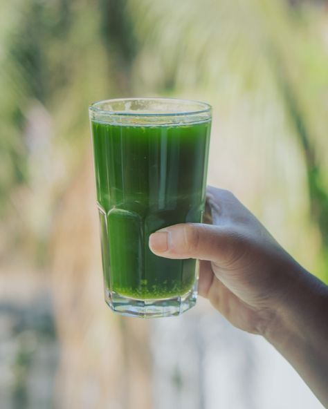 Wheatgrass Juice, Water Photos, Honey Water, Nutrient Dense Food, Wheat Grass, Bad Idea, More Recipes, Photos Ideas, Detox Drinks