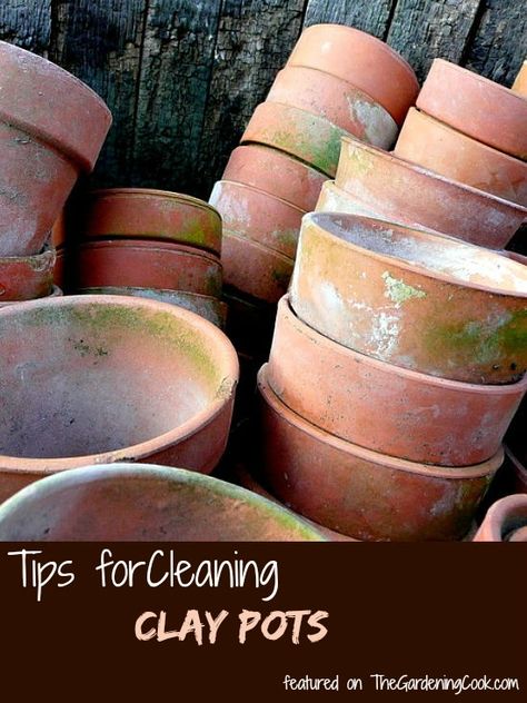 These tips for cleaning clay pots will make sure that your supplies are ready to use when spring comes next year. #claypots #gardenmaintenance Kitchen Window Herb Garden, Window Herb Garden, Aging Terra Cotta Pots, Flea Market Gardening, Vinegar Uses, Terra Cotta Pots, Potting Shed, Clay Pot, Terracotta Pots