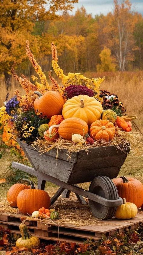 Outdoor Fall Decor Ideas Yard, Fall Yard Decor, Outdoor Fall Decor Ideas, Outdoor Fall Decor, Fall Garden Decor, Cozy Outdoor, Autumn Magic, Fall Decor Ideas, Fall Thanksgiving Decor