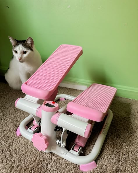 New pink stepper 🎀 and the manager approve 🤭 #stairstepper #pinksteppers #sunnystepper #pinkstuff #pinkera #workout #workoutmotivation #workoutathome #loveself #weightlossjourney #instagram #instalike #instadaily #instaphoto #instapic #instaworkout #fitness #momlife #momfitness Stepper Workout, Mini Stepper, Stair Stepper, Love Your Body, Workout Aesthetic, Fit Mom, 2025 Vision, Pink Mini, Fit Life