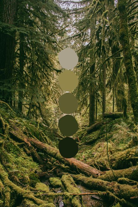 2 Paint Colors On One Wall, Moody Nature Color Palette, Forest Bedroom Paint Colors, Earthy Colour Palette Bedroom, Color Palette With 9 Colors, Wedding Color Palette Forest Green, Forest Color Pallette, Green Forest Palette, All Green Color Palette