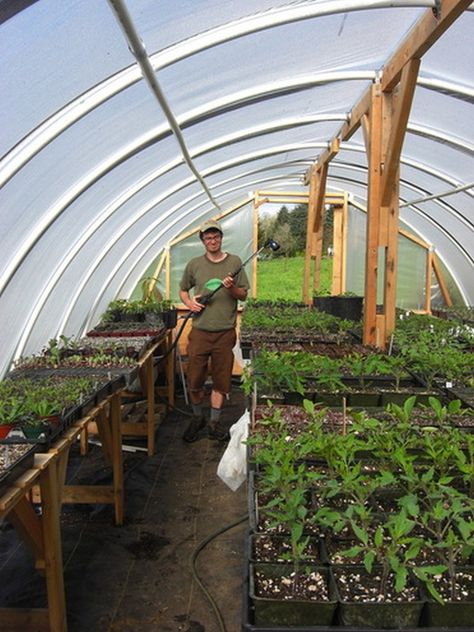 DIY Hoop Greenhouse - Table space for flats of plants Hoop Greenhouse, Greenhouse Tables, Simple Greenhouse, Hoop House, Owner Builder, Diy Greenhouse Plans, Best Greenhouse, Build A Greenhouse, Indoor Greenhouse