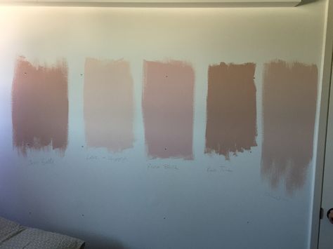 Comparing Benjamin Moore pinks, favorite is Odessa Pink. Odessa Pink Benjamin Moore, Benjamin Moore Pinks, Odessa Pink, Benjamin Moore Pink, Paint Inspo, Fashion Truck, Room Remodel, Front Entrance, Front Entrances