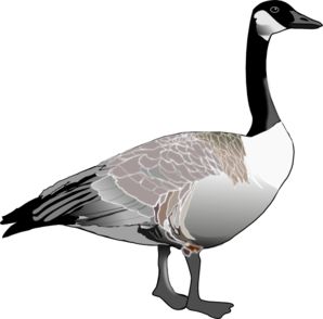 Canadian Goose Clip Art Geese Illustration, Goose Clipart, Canadian Geese, Decoy Carving, Wildlife Protection, Canadian Goose, Pallet Christmas, Free Clipart Images, Illustration Cute