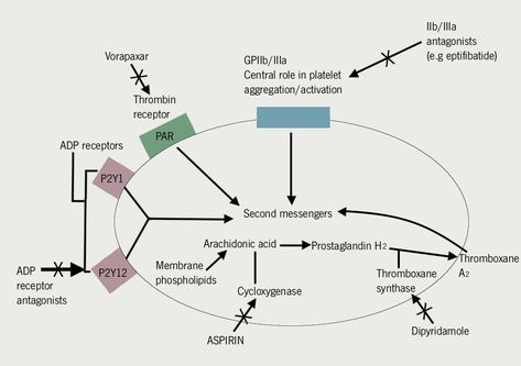 Figure 1. Mechanism of action for aspirin Cardiology, Pharmacology, Health Professionals, Medicine, Health