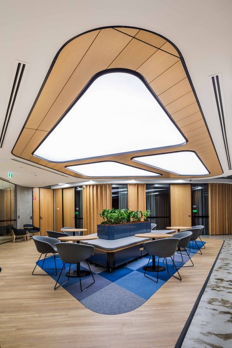 We love how WMK has incorporated our Ecoustic Veneer in the ceiling of this incredible interior. Photography by Rachael Dere. Ceiling Design Commercial, Office Ceiling Ideas, Office Design Commercial, Office Ceiling Design, Ceiling Office, Deakin University, Architecture Ceiling, Living Room Lighting Design, Ceiling Feature