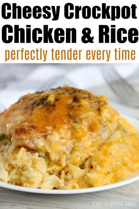 Crockpot cheesy chicken and rice!! #crockpot #crockpotrecipes #slowcooker #chicken #chickenandrice #campbells Chicken Thighs And Rice Crockpot, Best Crockpot Chicken Recipes, Cheesy Crockpot Chicken, Chicken Thighs And Rice, Crockpot Chicken And Rice, Rice Crockpot, Chicken And Rice Crockpot, Best Crockpot Chicken, Best Crockpot