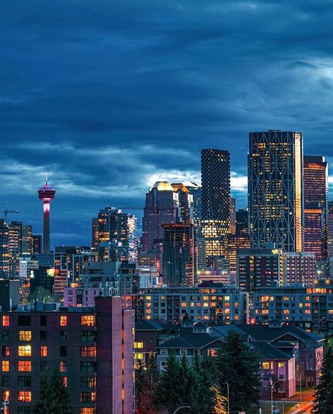 Calgary Skyline, Calgary Tower, Canada City, Pretty Views, Saskatchewan Canada, Calgary Canada, City Sky, Friends Photo, Explore Canada