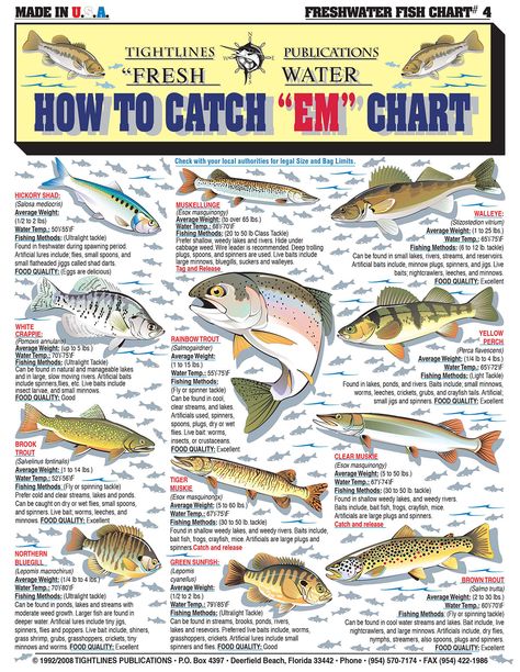 Fresh Water Fishermans Special! - Album on Imgur Fish Infographic, Fish Chart, Fishing Gadgets, Fresh Water Fishing, Rainbow Trout Fishing, Trout Fishing Tips, Fishing For Beginners, Fishing Ideas, Fishing Diy