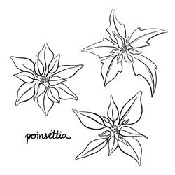 Poinsettia Tattoo, Poinsettia Drawing, Line Drawing Images, Pottery Sgraffito, Modern Bouquet, Poinsettia Plant, Pottery Christmas, Background Winter, Poinsettia Flowers