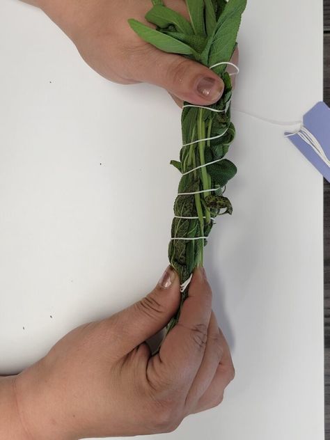 Harvesting and Drying Sage for Smudge Sticks : Weedender Sage Bundles, Sage Smudging, Gardening Hacks, Smudge Sticks, Old Soul, Native Art, Diy Creative, Macrame Plant Hanger, Plant Hanger