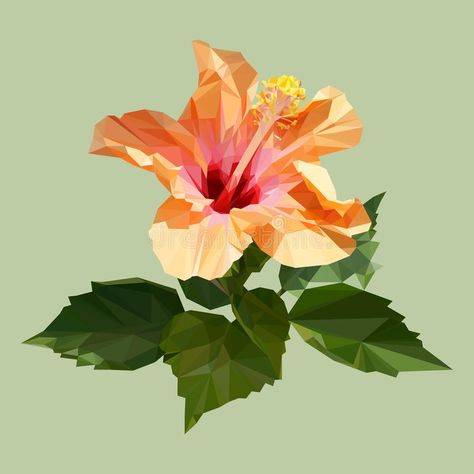 Hibiscus Wedding, Rosa China, Rose With Leaves, Orange Hibiscus, Polygon Art, Yellow Hibiscus, Flower Vector, Geometric Drawing, Geometric Triangle