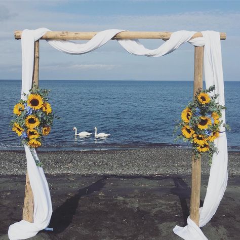 142 Likes, 4 Comments - Maria Sila (@tietheknotsantorini) on Instagram: “This is how an AMAZING 2016 wedding season ends: sunflowers on a sunny day 🌼☀️ and ... swans 😍😍…” Sunflower Beach Wedding, Wedding Arch Square, Square House Plans, Beach Wedding Aisles, Square House, Diy Wedding Arch, Beach Wedding Decorations Reception, Sunflower Theme, Inexpensive Wedding Favors