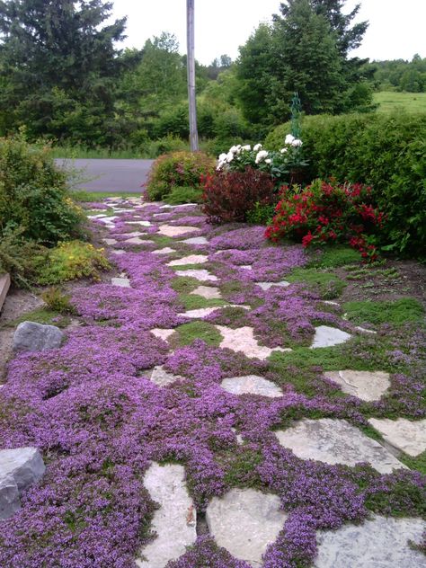 Backyard Walkway, Spanish Garden, Native Plant Gardening, Gothic Garden, Garden Walkway, Rock Garden Landscaping, Mediterranean Garden, Home Landscaping, Memorial Garden