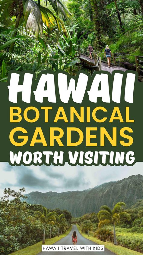 Let Hawaii's natural wonders captivate your senses! Our curated list highlights the most stunning botanical gardens sprawled across the islands. Wander amidst lush rainforests, fragrant blooms, and rare tropical plants. Whether you're a nature enthusiast or seeking serene landscapes, these gardens promise a once-in-a-lifetime experience. Immerse yourself in Hawaii's botanical paradise! 🌸🍃 #HawaiiGardens #NatureLover #TropicalParadise Botanical Gardens Hawaii, Places In Hawaii, Hawaii Things To Do, Nature Enthusiast, Visit Hawaii, Big Island Hawaii, Hawaii Island, Scenic Routes, Ways To Travel