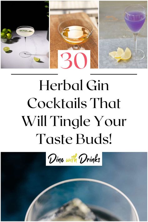 Collage of 4 herbal gin cocktails. Herbal Gin Cocktail, Gin Botanicals Recipes, Gin Infusion Recipes, Infused Food, Herbal Drink, Infused Gin, Botanical Tea, Gin Cocktail Recipes, Gin Drinks