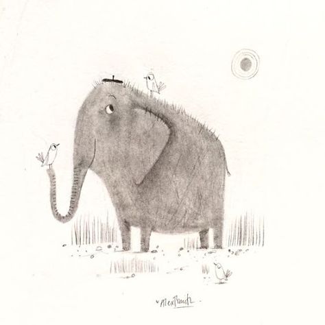 null Alex T Smith, World Elephant Day, Elephant Illustration, Picture Books Illustration, Elephant Art, Love Illustration, An Elephant, Art And Illustration, Pencil Illustration