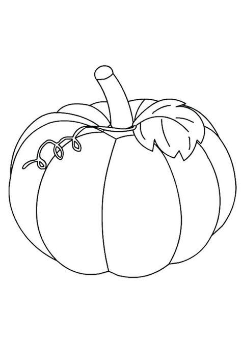 Pumpkin Coloring Page. Free Pumpkin Tomato Coloring Pages For kids download and print. Color Pages Printable, Pumpkin Templates, Pumpkin Coloring, Vegetable Coloring Pages, Pumpkin Template, Fruit Coloring Pages, Pumpkin Coloring Pages, Fall Items, Pumpkin Art