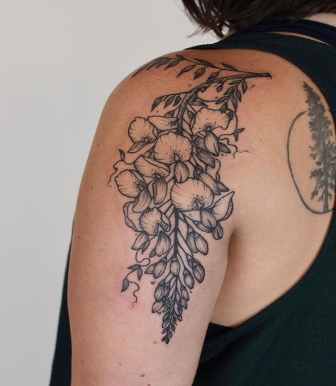 Renee Vance’s Instagram profile post: “Awesome placement of poisonous wisteria for Mady! NOW BOOKING FALL 2020 🍁 link in bio to book” Poisonous Flower Tattoo, Tattoo Placement Back Shoulder, Wisteria Vine Tattoo, Wisteria Shoulder Tattoo, Wisteria Back Tattoo, Wisteria Tattoo Design, Wisteria Tattoo Taylor Swift, Wisteria Tattoo Collarbone, Wisteria Flower Tattoo