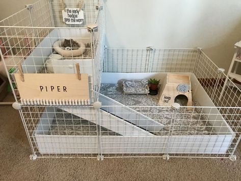 Hedgehog cage Hedge Hog Cage Ideas, Heghogs Cage, Aesthetic Hedgehog Cage, Guinea Pig Aesthetic Cage, Pet Hedgehog Cage, Pet Cage Ideas, Guinea Pig Play Area, Hedgehog Setup, Pygmy Hedgehog Cage