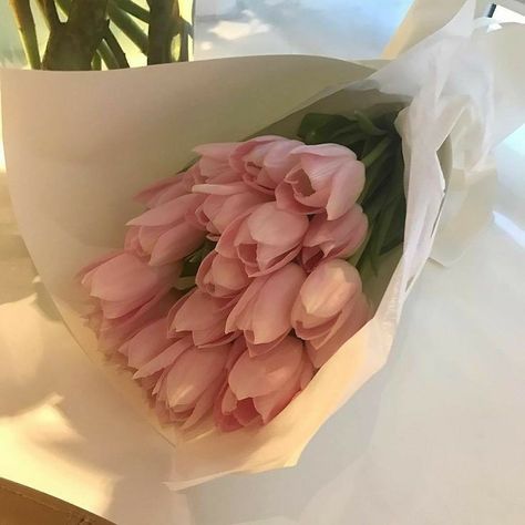 Istoria Artei, Boquette Flowers, Nothing But Flowers, Flower Therapy, Pink Tulips, Love Flowers, Pink Aesthetic, My Flower, Bago