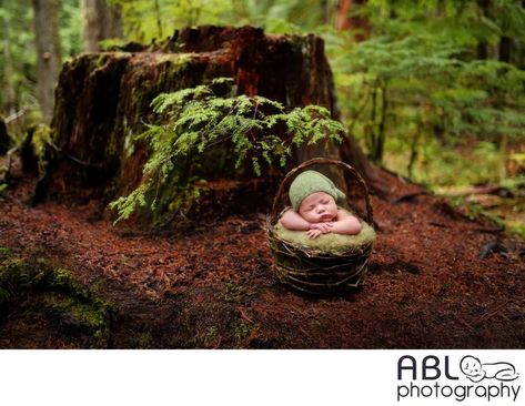 Sleeping In The Forest, Green Witch Aesthetic, Outdoor Newborn Photography, Photoshoot Tips, Themed Photography, Photographer Studio, Forest Baby, San Diego Photography, Forest Photos