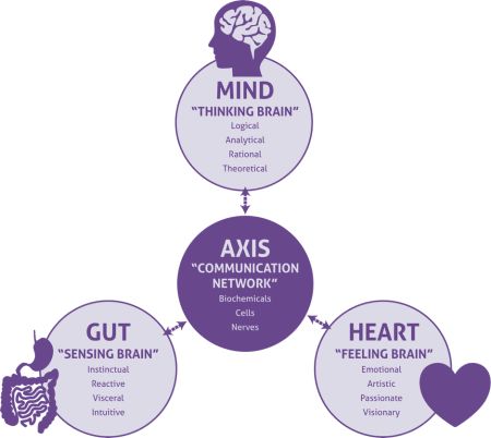 Amare Global® | The Mental Wellness Company | Official Website - Amare Global The Mind Gut Connection Book, Amare Global, Gut Instinct, Happy Juice, Wellness Industry, Wellness Company, Communication Networks, Mental Energy, Mental Focus