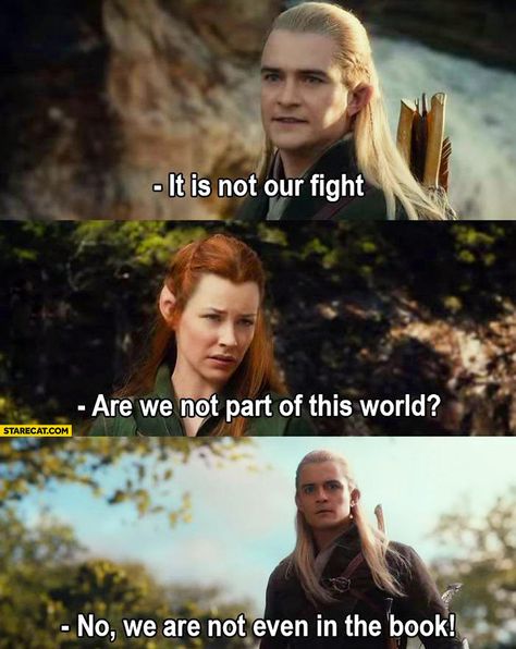 We are not even in the book. Lotr Funny, Into The West, Bilbo Baggins, Septième Art, Tauriel, Roman Holiday, Forrest Gump, Thranduil, Jrr Tolkien