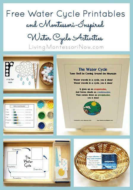 Roundup of free water cycle printables plus Montessori-inspired water cycle activities created with free printables - for preschoolers through first graders Water Cycle Craft, Water Cycle Activities, Water Cycle Worksheet, Water Lessons, Montessori Science, The Water Cycle, Weather Theme, Weather Unit, Montessori Ideas