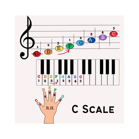 Magnetic square Beginning PIano lessons middle C scale on piano keys and sheet music notes for the right hand Piano Scales Chart, Beginning Piano, Music Education Lessons, Recorder Songs, Piano Songs Sheet Music, Piano Tutorials Songs, Beginner Piano Music, Keyboard Lessons, Piano Chords Chart