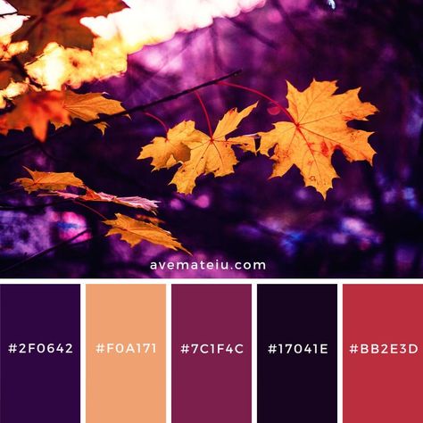 Most Beautiful Color Palette, Color Palette For Creativity, 2023 Color Pallet Trends, Contrasting Colors Palette, Bright Fall Color Palette, Color Palette 4 Colors, Horror Color Palette, Color Inspiration Colour Palettes, 7 Color Palette