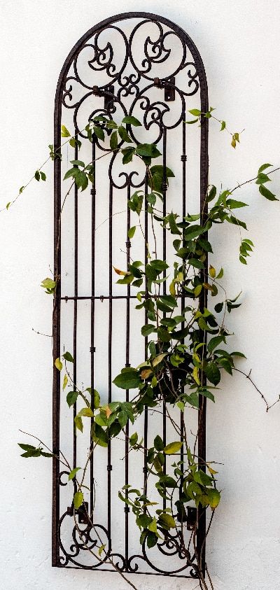 gar545-large creative wall trellis Wall Mounted Trellis, Wrought Iron Trellis, Large Trellis, Metal Garden Trellis, Patio Wall Decor, Trellis Garden, Garden Screen, Iron Trellis, Wall Trellis