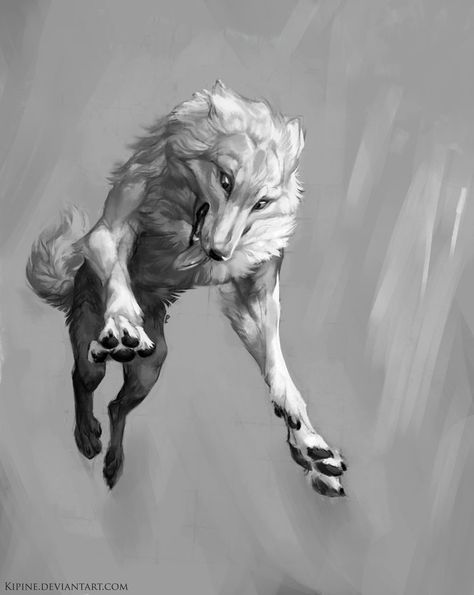 Monster Beast, Wolf Monster, Wolf Sketch, Dog White, Beast Creature, Fantasy Wolf, Wolf Wallpaper, Wolf Drawing, Canine Art