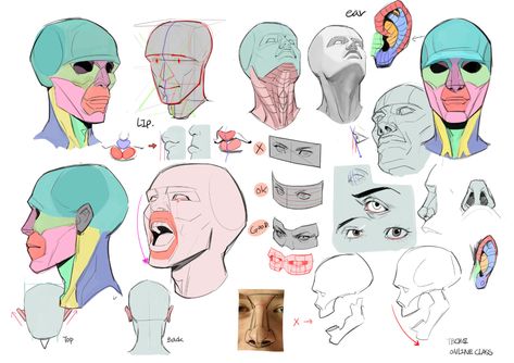 ArtStation - Online Class demo and old project, TB Choi Tb Choi, Head Anatomy, 얼굴 드로잉, Human Anatomy Drawing, 얼굴 그리기, Human Anatomy Art, Anatomy Sketches, Body Reference Drawing, Drawing Studies