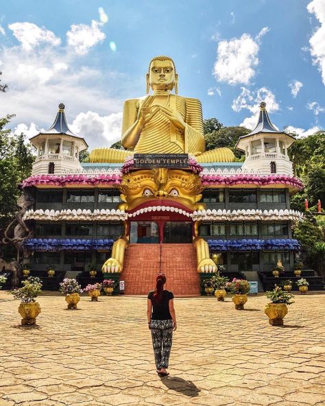 Explore the Dambulla Rock Temple! Visit the stunning Dambulla Rock Temple, a UNESCO World Heritage site known for its impressive cave temples and intricate Buddha statues. Carved into a massive rock, this sacred site offers breathtaking views and a glimpse into Sri Lanka's rich cultural heritage. Perfect for history enthusiasts and spiritual seekers! Ready to discover this remarkable location? Need a ride to get there? BlueSky Galle Taxis is here to assist! 📸 Credit Always Goes to respectiv... Rock Temple, Buddha Statues, Unesco World Heritage Site, Unesco World Heritage, Heritage Site, World Heritage, Breathtaking Views, Samurai Gear, Sri Lanka