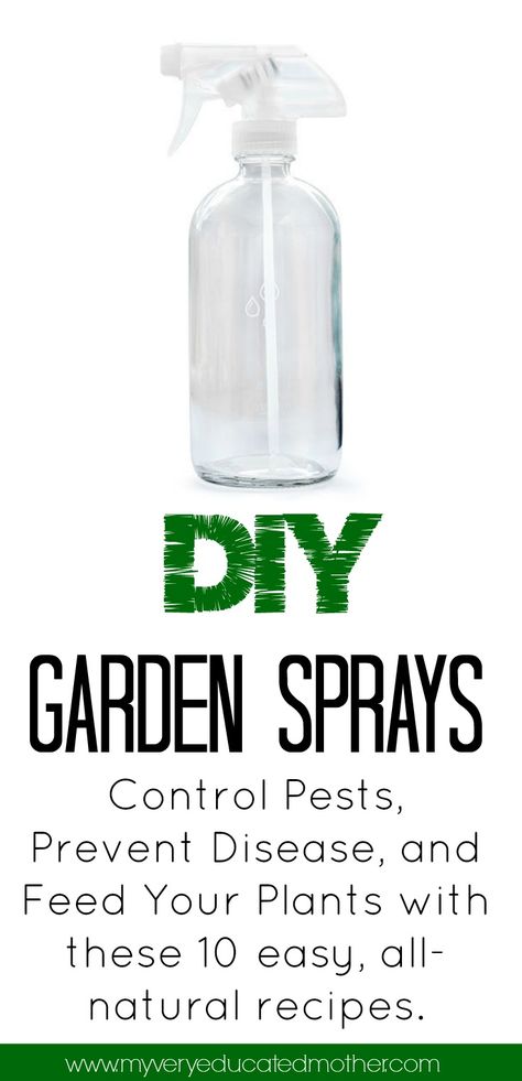 My Very Educated Mother: 10 DIY Garden Spray Recipes Diy Plant Pest Spray, Insect Spray For Plants, Powdery Mildew Spray, Diy Plant Insecticide, Natural Bug Spray For Plants Vegetable Garden, Essential Oil Garden Spray Pest Control, Aphid Spray, Peppermint Spray, Mint Plants