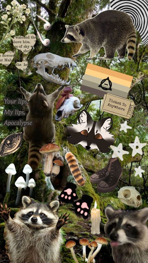 Racoon Therian, Therian Stuff, Maybe In Another Life, In Another Life, Racoon, My Themes, Pretty Art, Travel Art, Art Wallpaper