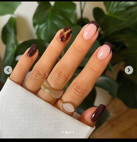 Fall Short Nails, College Nails, Short Fall Nails, Candy Corn Nails, Wife Nails, Nails Collection, Wine Nails, November Nails, February Nails