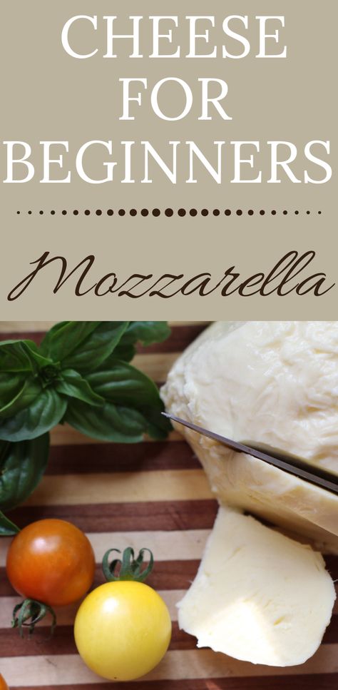 Snacks With Fresh Mozzarella, Whole Milk Mozzarella Recipes, Easy Cheese Making Recipes, Homemade Cheese Recipes Cheesemaking, How To Make Fresh Mozzarella, Homemade Mozzarella Recipes, Homemade Fresh Mozzarella, Homemade Mozzarella With Vinegar, How To Make Monzerrela Cheese