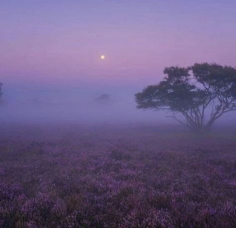 Calm Space, Purple Vibe, Mazzy Star, Rainbow Magic, Pretty Landscapes, Purple Sky, Purple Wallpaper, Purple Aesthetic, Nature Aesthetic