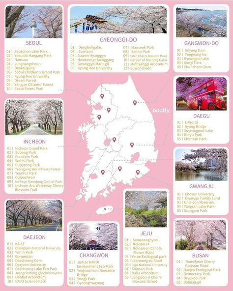 South Korea Travel✈️🇰🇷 | List of the places you can visit during Cherry Blossom Festival in South Korea🌸🌸🌸🌸 | Facebook South Korea Tourist Attraction, Relaxing Apartment, Korea Tourist Attractions, About South Korea, Travel Buddy, South Korea Travel, Cherry Blossom Festival, Tourist Map, Korea Travel