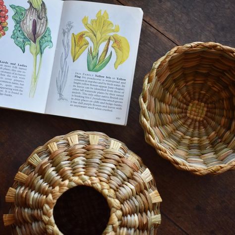 Suzie Grieve (@foragedfibres) • Instagram photos and videos Corn Husk Crafts, Corn Husk, Left Over, Hat Making, Yellow Flowers, Basket Weaving, Tangled, Corn, Weaving