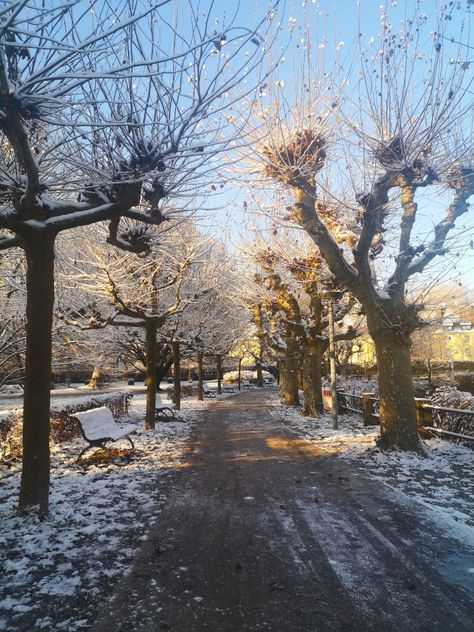 Winter Morning Wallpaper, Snowy Morning Aesthetic, Morning Winter Aesthetic, Winter Walk Aesthetic, Winter Morning Aesthetic, Snowy Bench, Constance Germany, Winter Arch, Snow Morning