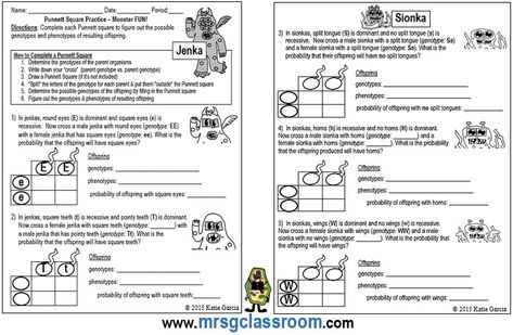 Genetics is one of my favorite topics. As a relatively new teacher, I realized early on that you need to start with the basics which means... Square Activities, Punnett Square Activity, Genetics Worksheet, Dna Activities, Amoeba Sisters, Punnett Square, Dna And Genes, Punnett Squares, Stem Curriculum