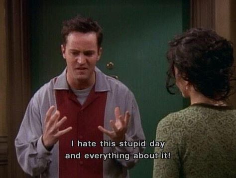 I am Chandler Bing and I hate stupid Thanksgiving. Funny Christmas Pictures, Friends Scenes, Funny New Year, Friends Cast, Ross Geller, Friends Moments, Phoebe Buffay, Friend Memes