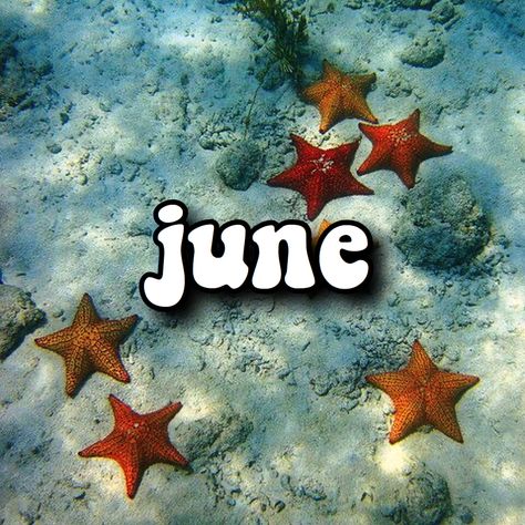 June Playlist Cover, April Spotify Playlist Cover, Playlist Covers Months, July Playlist Cover, June Spotify Cover, Summertime Playlist Cover, June Aesthetic Month, Music Cover Photos, Playlist Covers Photos