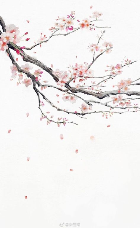 Sakura Painting, Cherry Blossom Drawing, Cherry Blossom Painting, Cherry Blossom Art, Blossoms Art, 수채화 그림, Japanese Cherry Blossom, Art Japonais, Chinese Painting