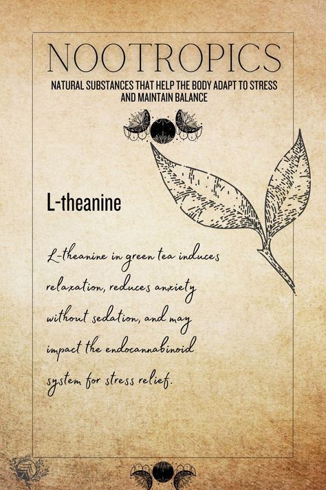 Explore L-Theanine products at The Other Path retail store, including supplements, teas, and powders. Known for promoting relaxation and reducing stress. Image shows an image of L-Theanine with descriptive text. Natural Health Supplements, L Theanine, Endocannabinoid System, Energy Healing Spirituality, Thirsty Thursday, Health Supplements, Ayurveda, Energy Healing, Book Journal