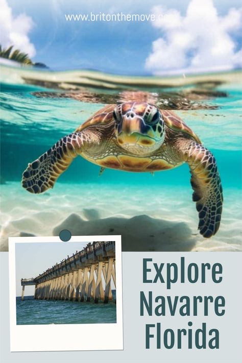 Immerse in the allure of Navarre, Florida, with our ultimate guide. From pristine beaches to unique local eats, we're exploring all the must-visit spots. Discover the best things to do in Navarre, Florida, and be inspired to plan your unforgettable getaway. Explore Navarre, Florida today! #navarre #navarreflorida #navarrefl #thingstodoinnavarre Navarre Florida, Navarre Beach Florida, Family Traveling, Travel Florida, Florida Travel Guide, Vacations In The Us, Beach Things, Navarre Beach, Camping Resort